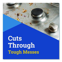 Formula 409® CloroxPro Cleaner Degreaser Disinfectant, 32 oz Spray, 12/Carton