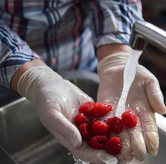 SAFEGUARD Latex Gloves, Powder Free and Food Grade Gloves, 100Count, Pack of 10